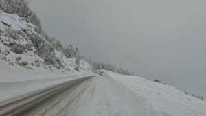 Εξόρμηση στα Κελάρια Παρνασσού και μετά Καμένα Βούρλα για ζεστό μπάνιο!